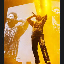 Load image into Gallery viewer, POST MALONE - SKELTETON SWORD PANTS - RUNAWAY TOUR
